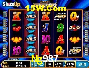 Suporte prioritário e eventos VIP